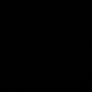 Meet your Posher, Ryanne